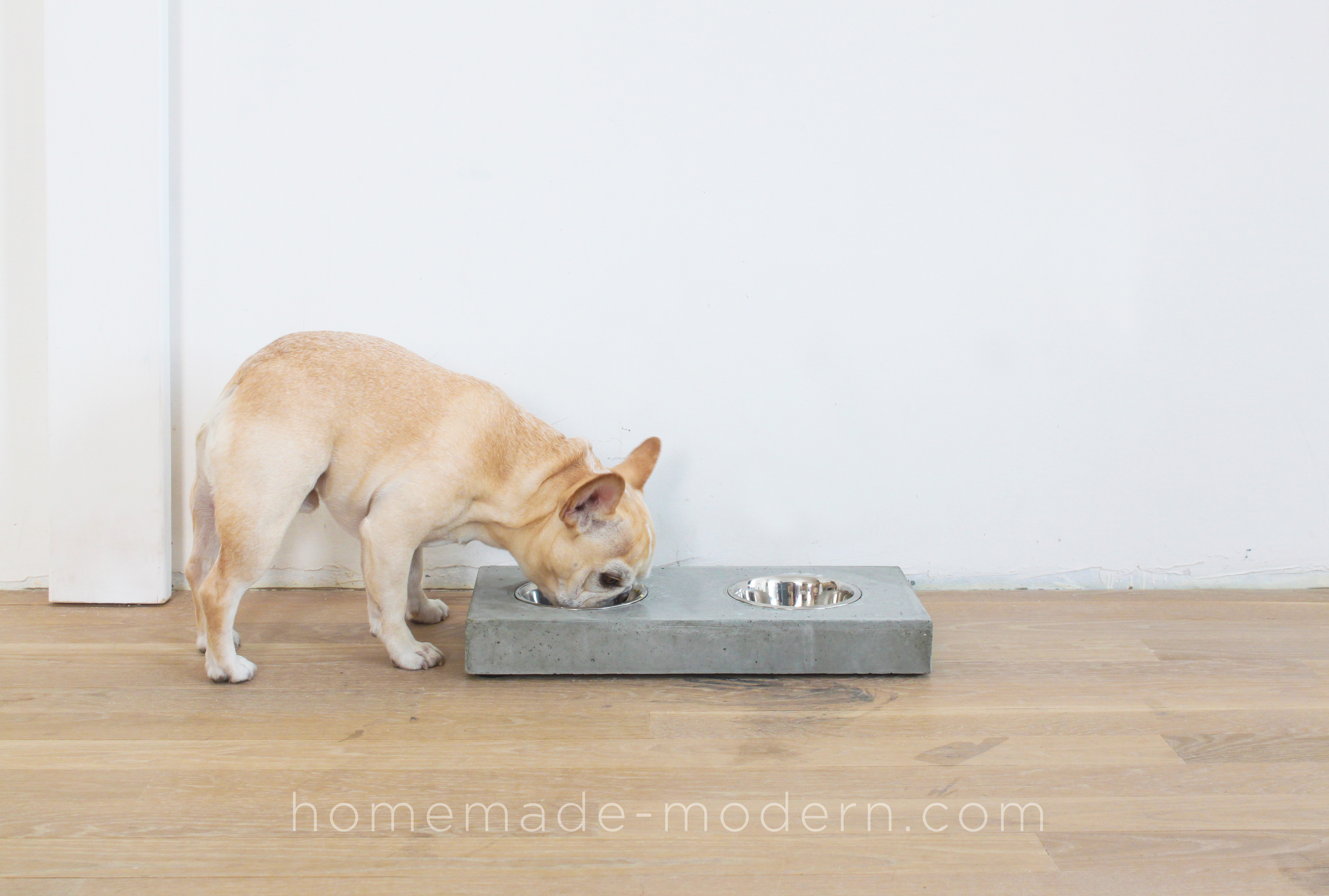 This DIY concrete dog dish station was made out of Quikrete 5000 concrete mix from Home Depot. Full instructions can be found at HomeMade-Modern.com